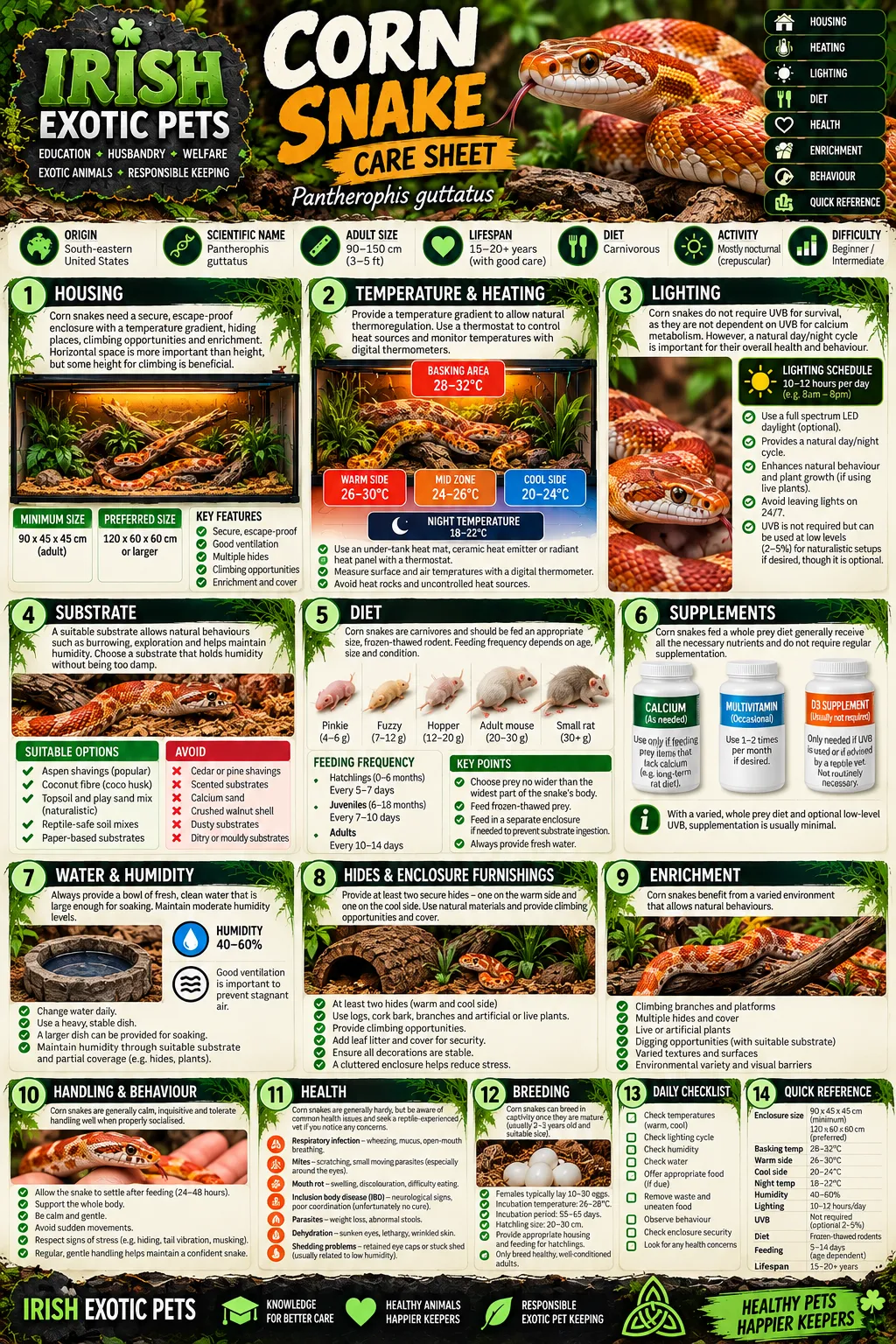 The full Corn Snake care sheet infographic