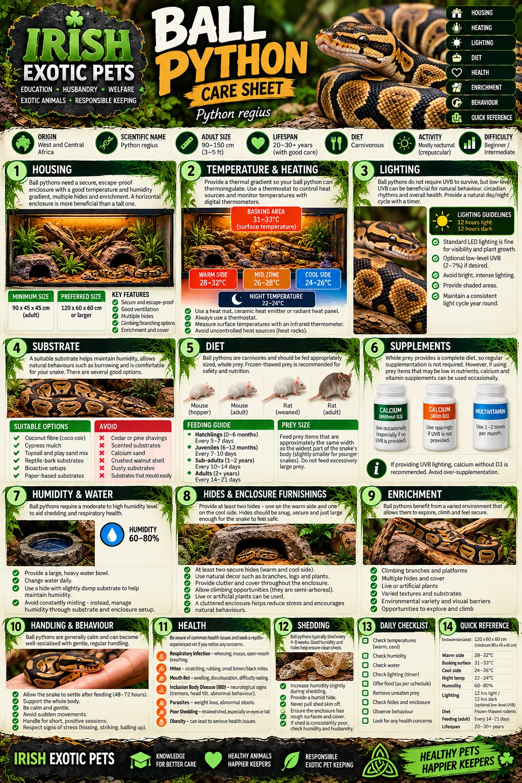 The full Ball Python care sheet infographic