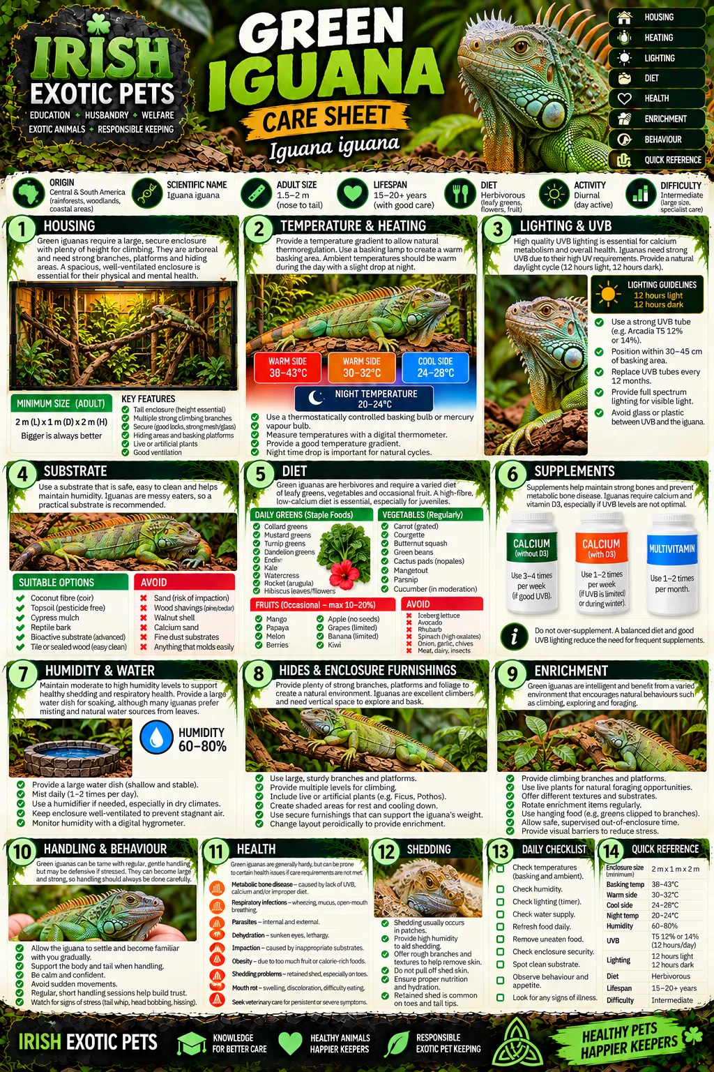 The full Green Iguana care sheet infographic