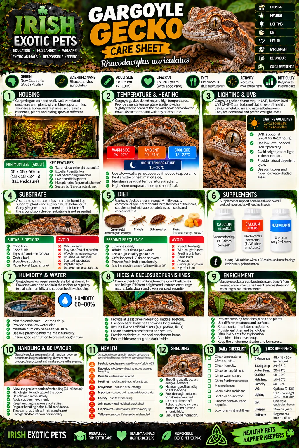 The full Gargoyle Gecko care sheet infographic