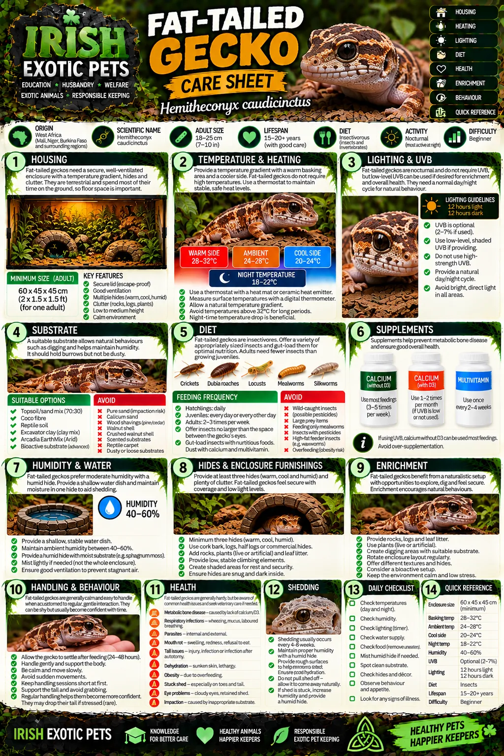 The full Fat-Tailed Gecko care sheet infographic