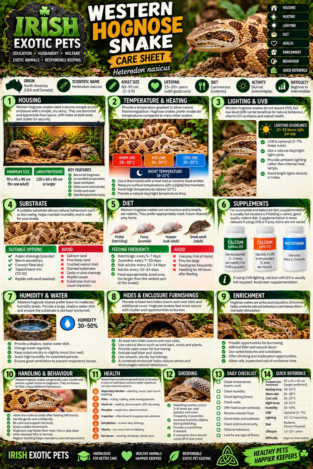 The full Western Hognose Snake care sheet infographic