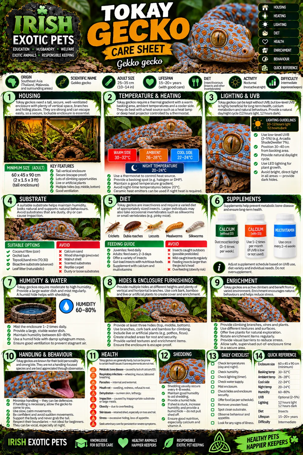 The full Tokay Gecko care sheet infographic