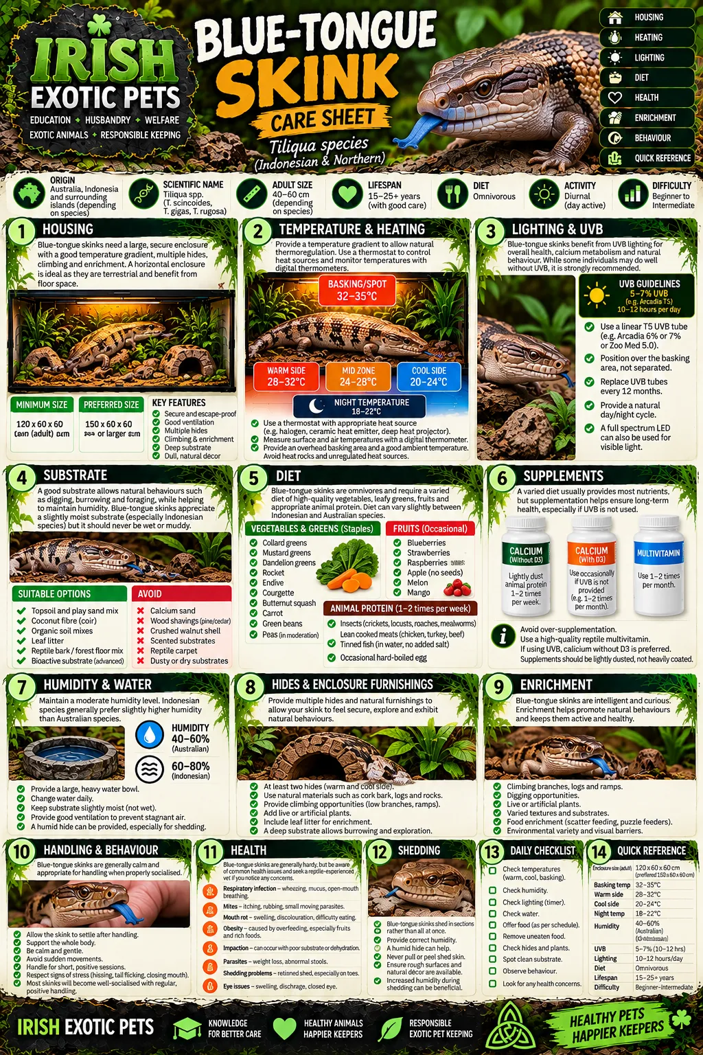 The full Blue-Tongue Skink care sheet infographic