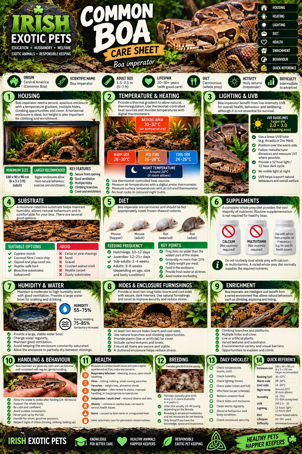 The full Common Boa care sheet infographic