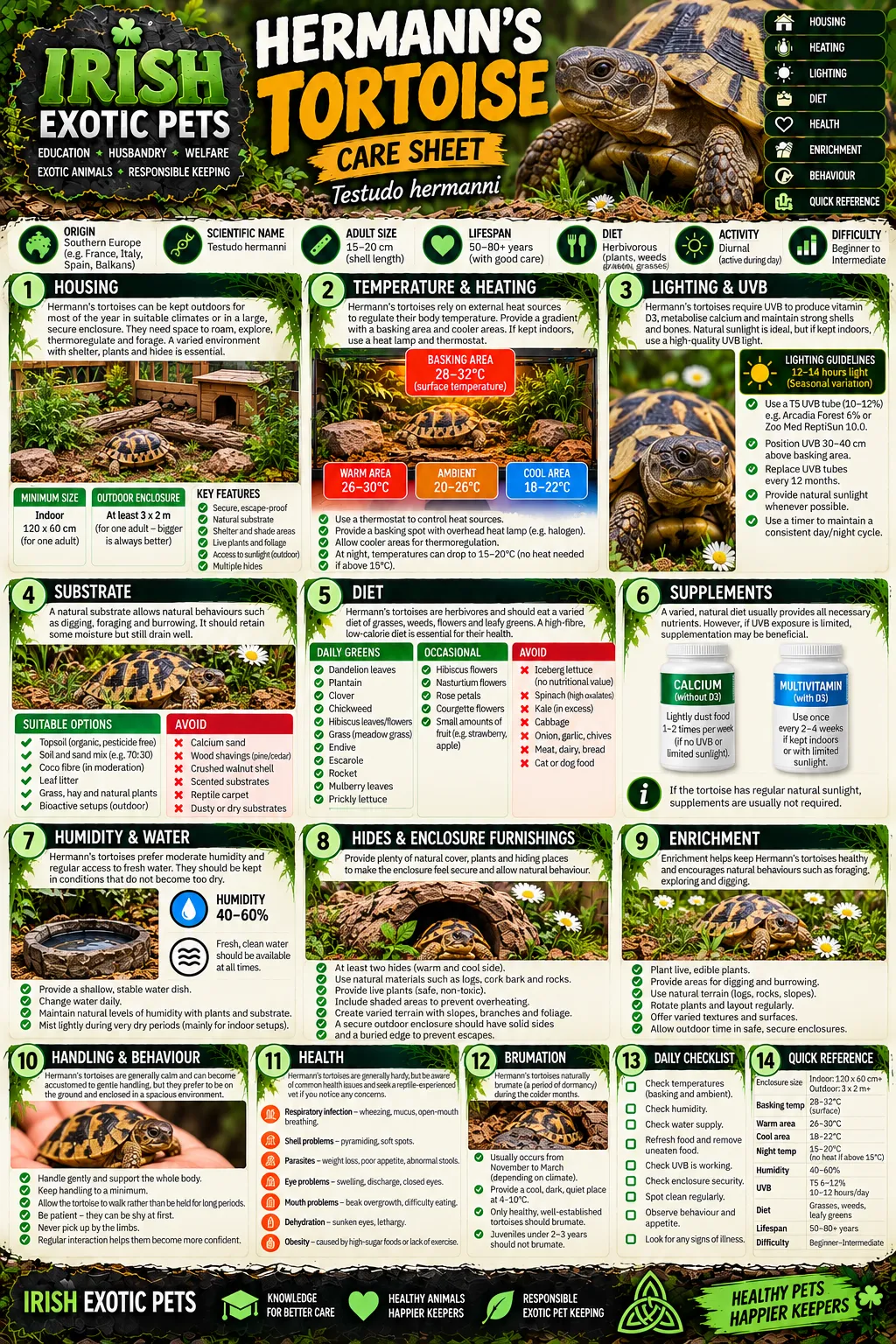 The full Hermann's Tortoise care sheet infographic