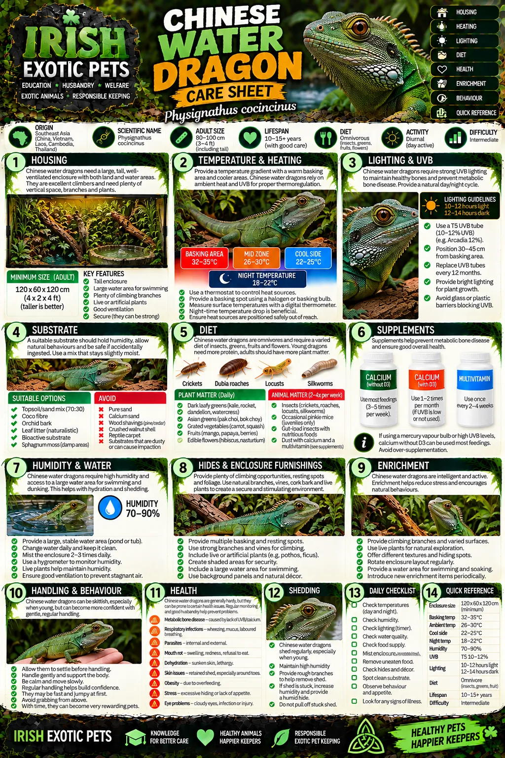 The full Chinese Water Dragon care sheet infographic